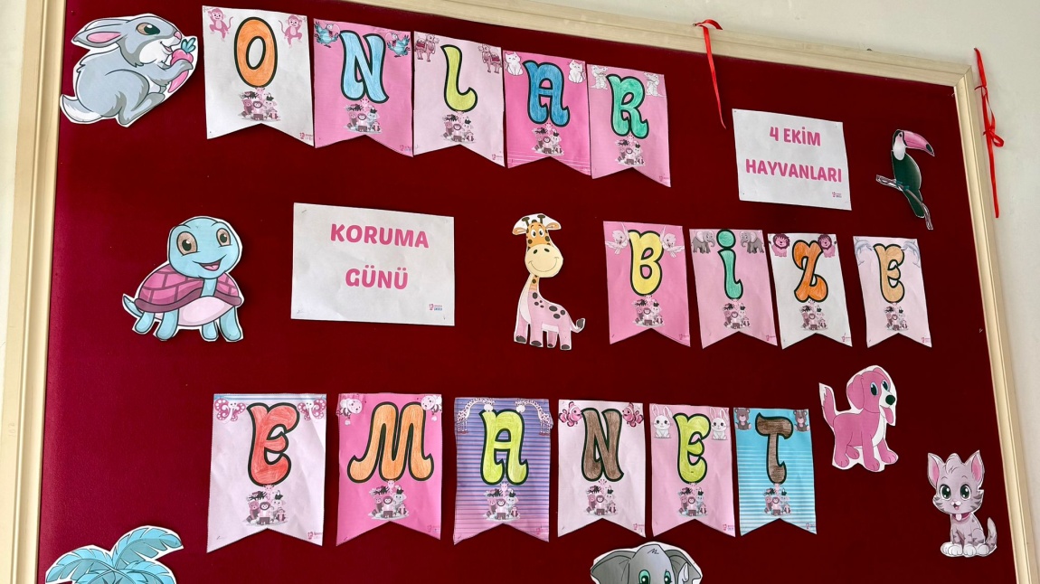 Hayvanları Koruma Günü Etkinliği Yapıldı